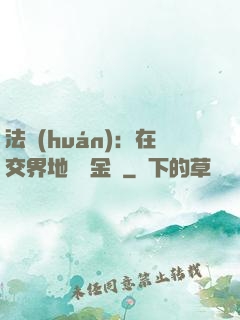 法環(huán)：在交界地賣糞金龜