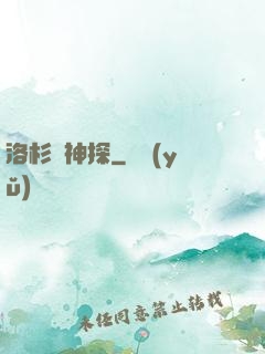 洛杉磯神探