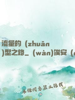 流量的轉(zhuǎn)型之路