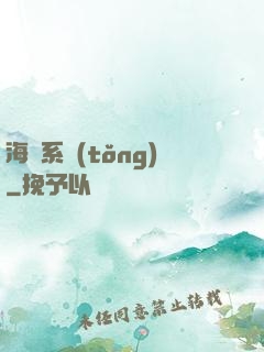 海盜系統(tǒng)