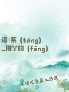 海盜系統(tǒng)