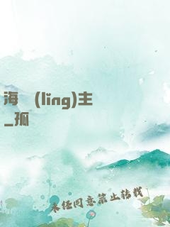 海盜領(lǐng)主