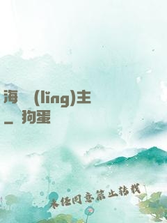 海盜領(lǐng)主
