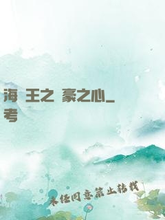 海賊王之劍豪之心