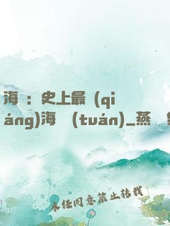 海賊：史上最強(qiáng)海賊團(tuán)