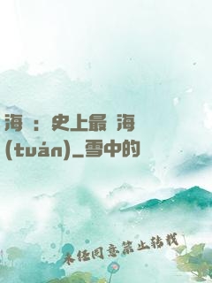 海賊：史上最強海賊團(tuán)