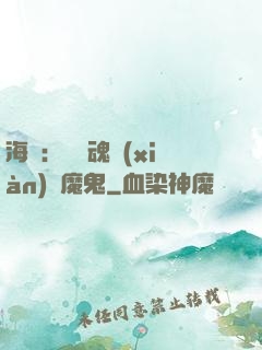 海賊：將靈魂獻(xiàn)給魔鬼
