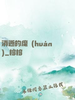 消逝的魔環(huán)