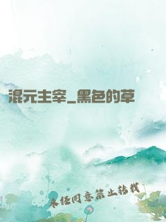 混元主宰