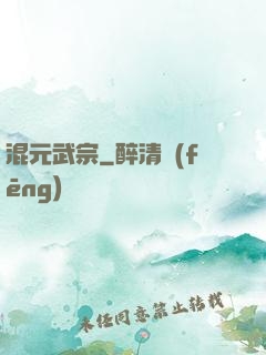 混元武宗