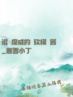 混跡魔戒的騎砍模擬器