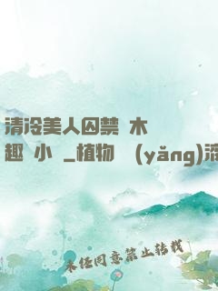清冷美人囚禁騎木馬筆趣閣小說