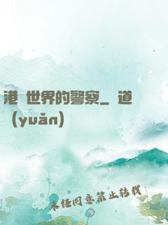 港綜世界的警察
