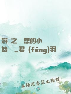 游戲之從憤怒的小鳥開始無敵