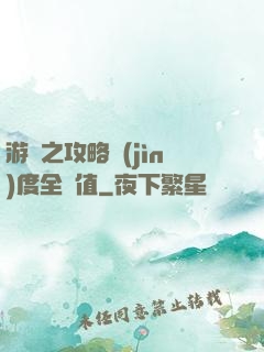 游戲之攻略進(jìn)度全滿值