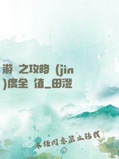 游戲之攻略進(jìn)度全滿值