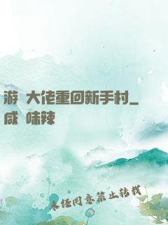 游戲大佬重回新手村