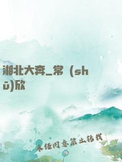 湘北大奔