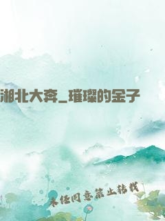 湘北大奔