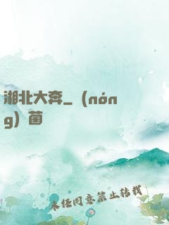 湘北大奔