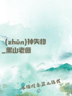 準(zhǔn)神失格