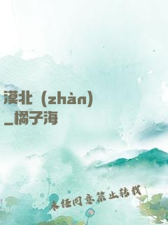 漠北戰(zhàn)龍