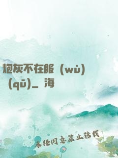 炮灰不在服務(wù)區(qū)
