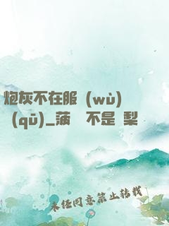 炮灰不在服務(wù)區(qū)