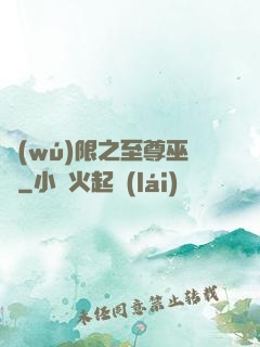 無(wú)限之至尊巫師