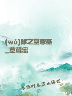 無(wú)限之至尊巫師