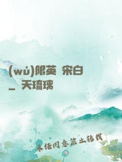 無(wú)限英靈宋白傳
