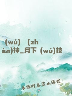 無(wú)雙戰(zhàn)神