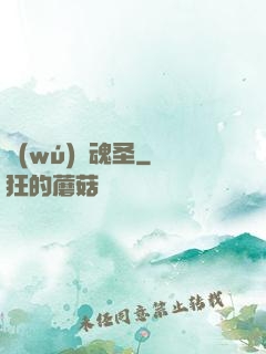 無(wú)雙魂圣