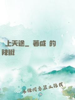 無上天途