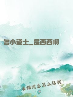 無名小道士