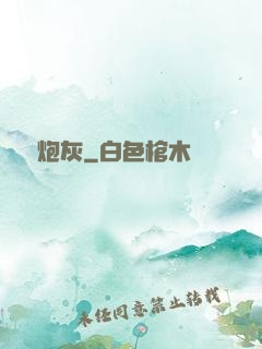 無敵炮灰
