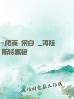 無限英靈宋白傳