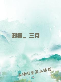 無雙刺客