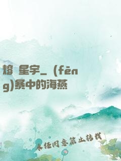 熔煉星宇