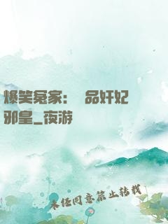 爆笑冤家：極品奸妃戲邪皇