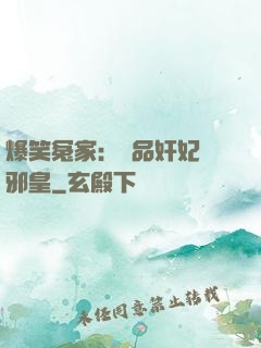 爆笑冤家：極品奸妃戲邪皇