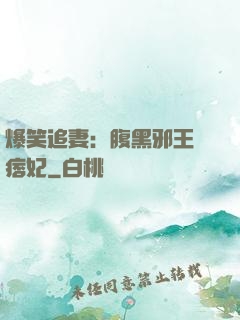 爆笑追妻：腹黑邪王戲痞妃