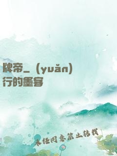牌帝
