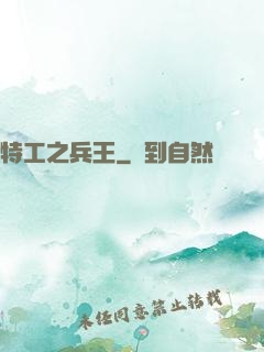 特工之兵王