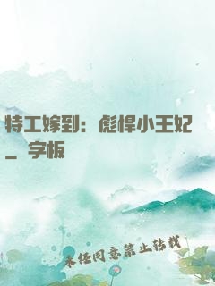 特工嫁到：彪悍小王妃