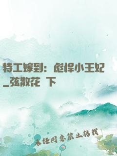 特工嫁到：彪悍小王妃
