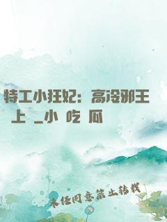 特工小狂妃：高冷邪王寵上癮