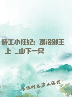 特工小狂妃：高冷邪王寵上癮