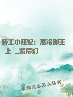 特工小狂妃：高冷邪王寵上癮