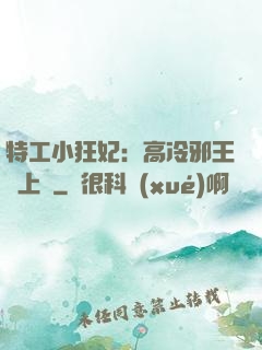 特工小狂妃：高冷邪王寵上癮